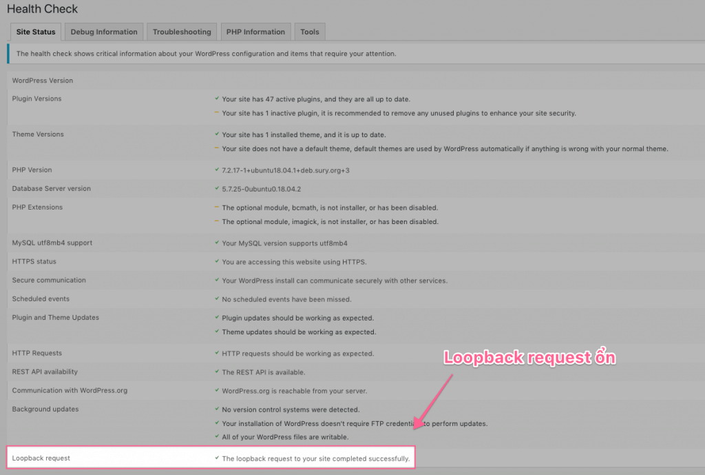 Lỗi Loopback requeset nếu có (Health Check Plugin)